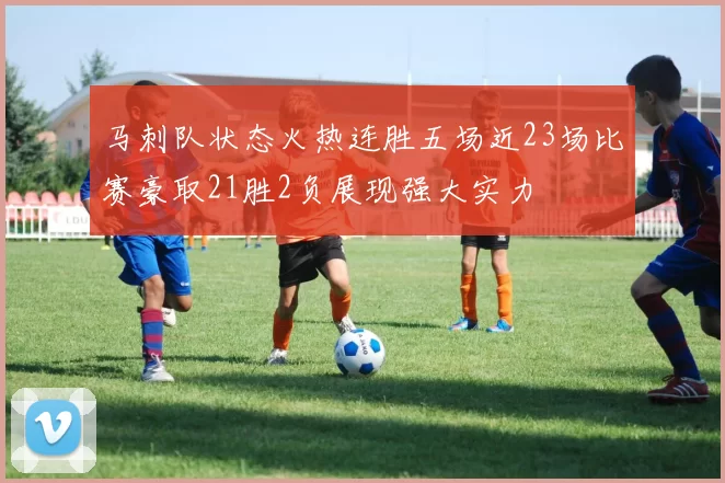 马刺队状态火热连胜五场近23场比赛豪取21胜2负展现强大实力