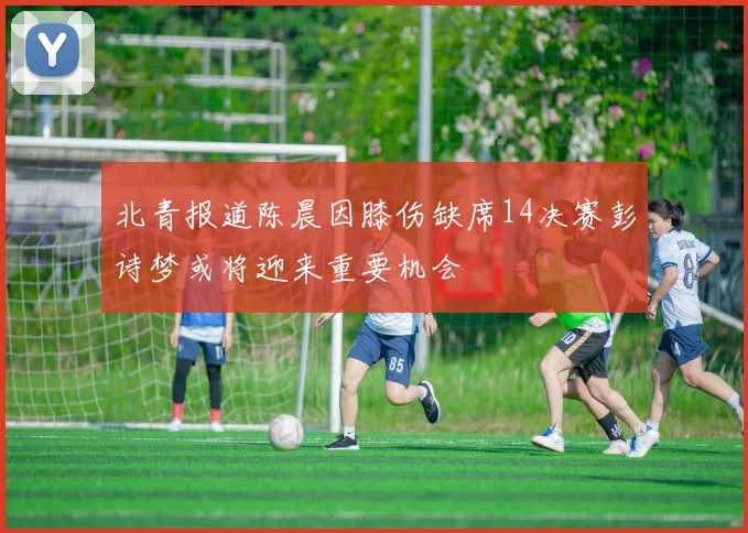 北青报道陈晨因膝伤缺席14决赛彭诗梦或将迎来重要机会
