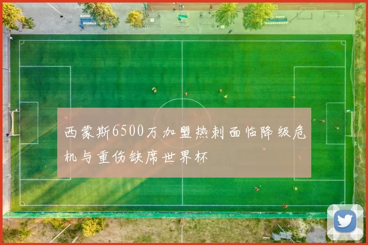 西蒙斯6500万加盟热刺面临降级危机与重伤缺席世界杯